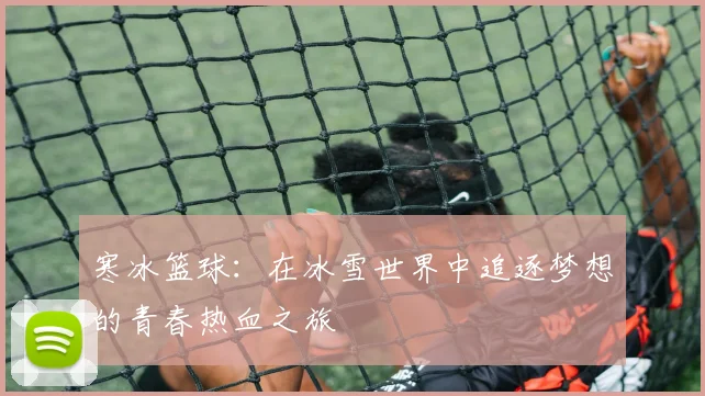 寒冰篮球：在冰雪世界中追逐梦想的青春热血之旅
