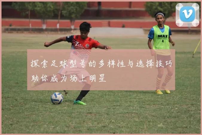 探索足球型号的多样性与选择技巧助你成为场上明星