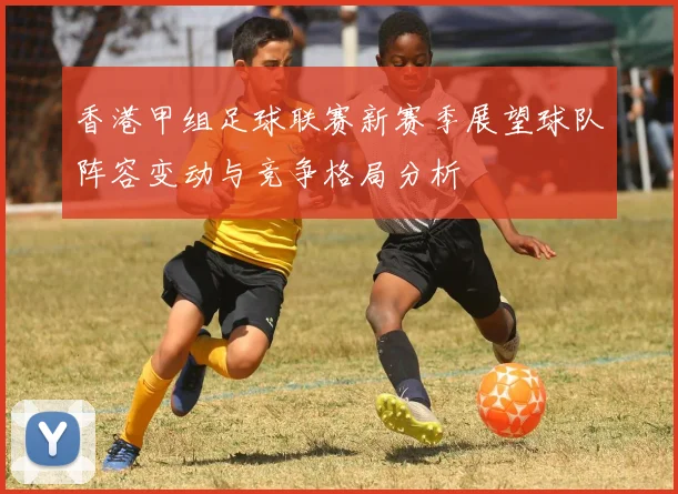 香港甲组足球联赛新赛季展望球队阵容变动与竞争格局分析
