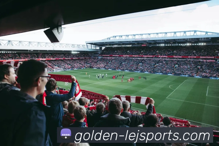 乐竞体育平台生态图